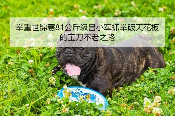 举重世锦赛81公斤级吕小军抓举破天花板的宝刀不老之路