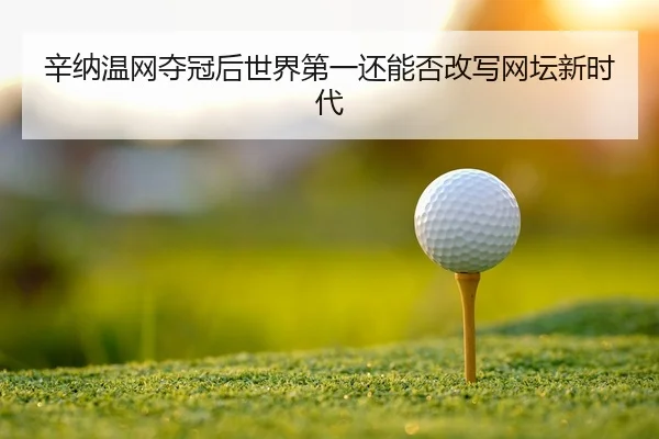 xin-na-wen-wang-duo-guan-hou-shi-jie-di-yi-hai-neng-fou-gai-xie-wang-tan-xin-shi-dai-2-610.jpg