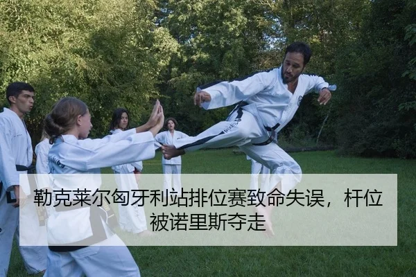 勒克莱尔匈牙利站排位赛致命失误，杆位被诺里斯夺走 - yaxin